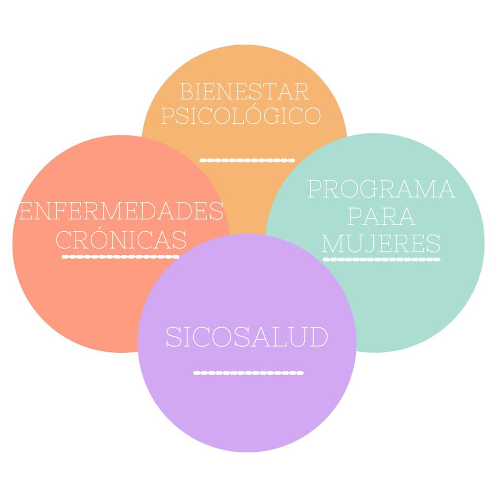 Sicosalud, Mentoria, Programa, Adiestramiento